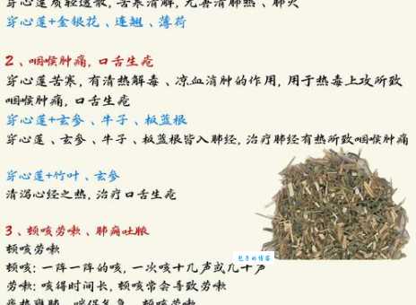 “胸中荷花”对应什么中药？内附答案详解！