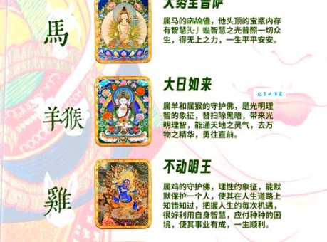 解密归正首丘：到底是哪个生肖的象征？