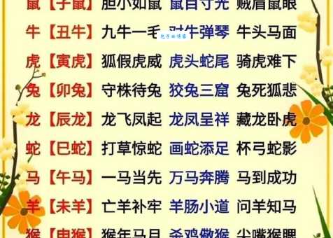 乌漆抹黑的生肖是什么？答案揭晓，带你了解十二生肖趣闻！