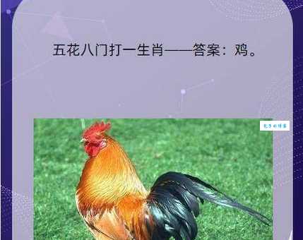 猜谜语：君子之交打一生肖，答案让你意想不到