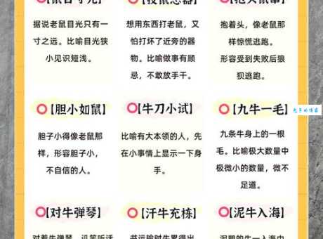 自讨苦吃的地方是哪里？猜一猜这个生肖动物！
