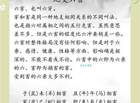 “十二楼中月自明”指的是什么生肖？简单易懂的解释