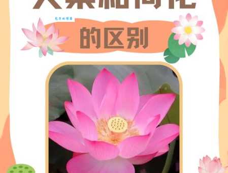 超凡脱俗的意思是什么？详解超凡脱俗的含义和用法