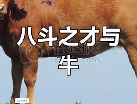 “八斗之才”指的是哪种动物？速来解答！