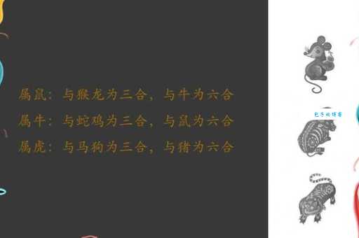 十双脚丫三五成群，打一准确生肖是什么动物？