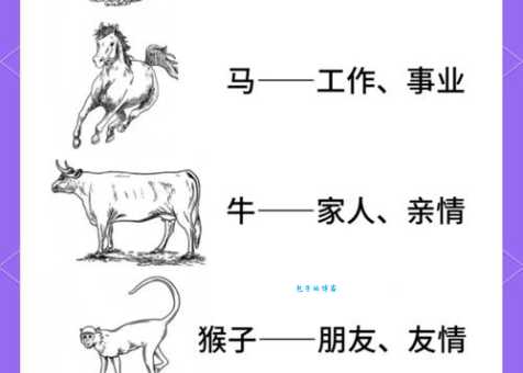 九牛一毛到底指哪个生肖？详解其含义和代表动物