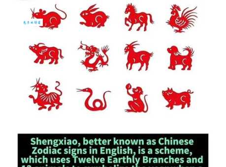 尽善尽美指的是哪个生肖？答案揭晓！