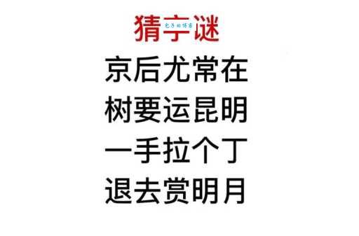 急转弯字谜：八兄弟同赏月，答案让你意想不到！