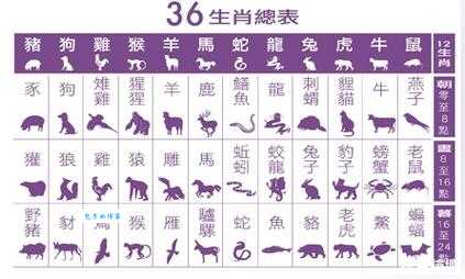 二三一五四七轮指的是什么生肖，快来猜猜看！