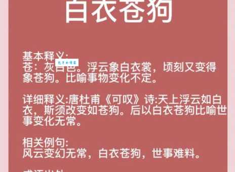 白云苍狗这个成语，和唐代哪位诗人有关？杜甫的诗歌典故