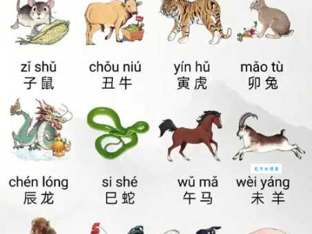 邑犬群吠究竟指什么生肖？带你深入了解生肖文化