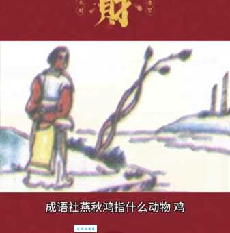 诗词社燕秋鸿对应什么生肖？深度解析生肖含义