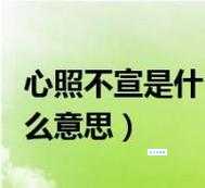 心照不宣的意思解释 为什么有些事情不必明说