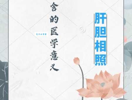 肝胆相照意思及例句 肝胆相照如何用在句子中