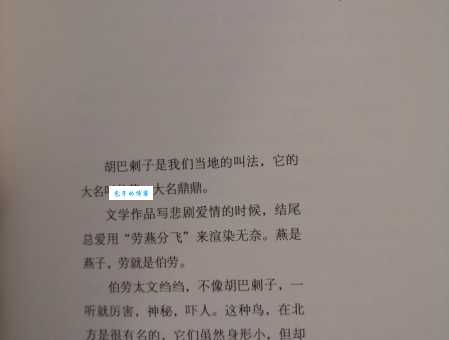 劳燕分飞是什么意思 成语解释与用法示例