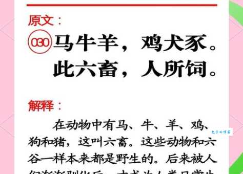 六畜兴旺的意思原来这么简单易懂