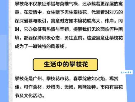 花枝招展是什么意思 常用来形容什么样的人