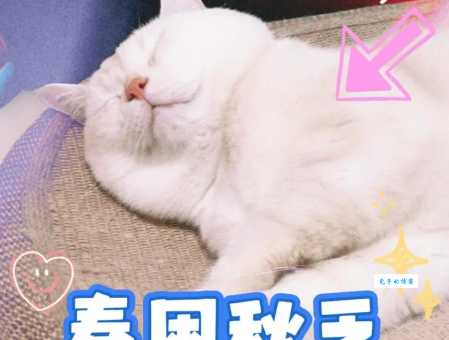 春困秋乏夏打盹下一句怎么接这些俗语你知道吗