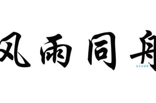 风雨同舟的意思和近义词 还有哪些成语表达类似含义