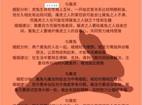 兔年后面是什么生肖 龙年运势及属相配对指南