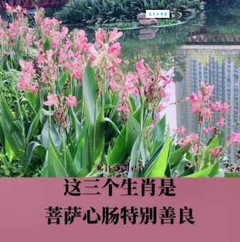 菩萨心肠是什么生肖 原来这几个生肖最有佛缘