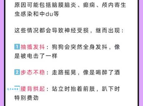 瑟瑟发抖的意思详解 什么情况下会瑟瑟发抖