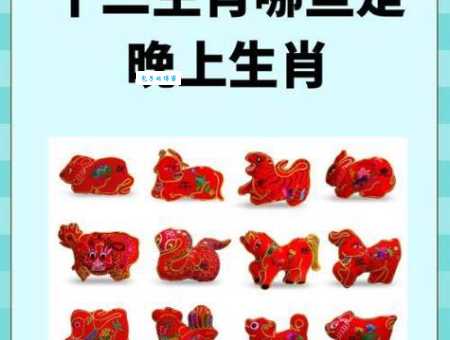 晚上出行的动物生肖是什么揭秘夜间活动的生肖动物
