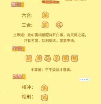 一拍即合是什么生肖 揭秘最默契的生肖组合