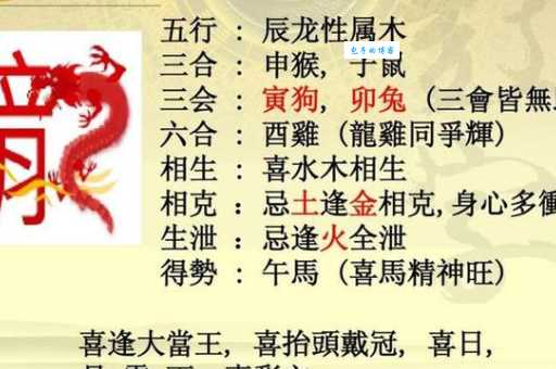 腾空而起代表什么生肖 快来看看你的生肖是否上榜