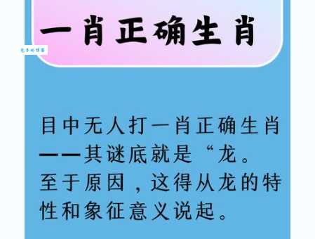 目送手挥打猜一最佳的生肖答案揭晓