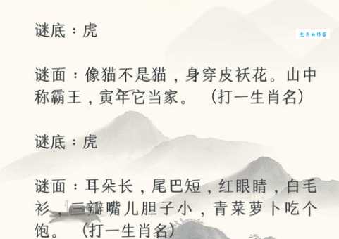 目送手挥打猜一最佳的生肖答案揭晓