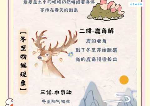 冬至是什么生肖 冬至与生肖之间的神秘联系