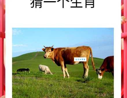 欣欣向荣打一个准确生肖专家解析最佳答案