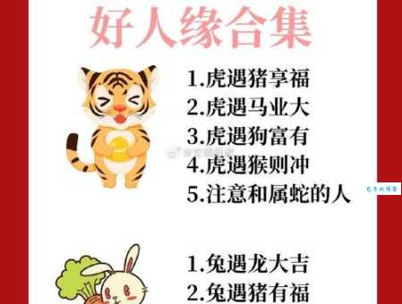 口没遮拦什么生肖容易惹祸上身却人缘不错