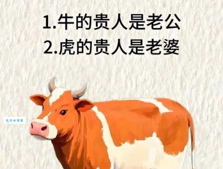 孝顺双亲是什么生肖 这些生肖天生就是孝子孝女
