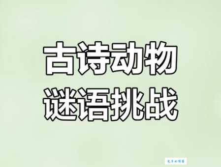 羽扇丝巾打一生肖快来猜猜看是什么动物