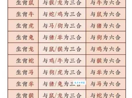 声东击西出阴招打一最佳精准生肖答案揭晓