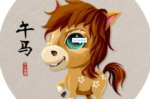 整天打扫打一准确生肖答案揭晓是马