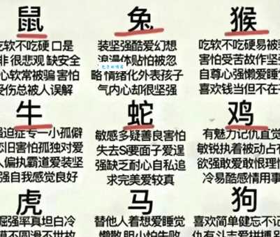 洋洋得意是什么生肖动物答案揭晓在这里