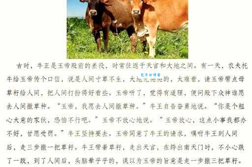 老牛舐犊打一生肖的全面释义及生肖文化解读