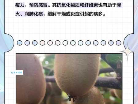 夏天吃什么水果降火这几种水果最有效
