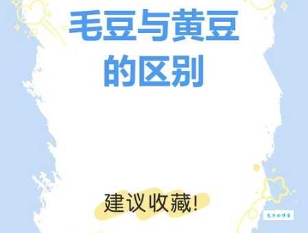 黄豆和毛豆是同一种东西吗 揭秘两者区别与联系