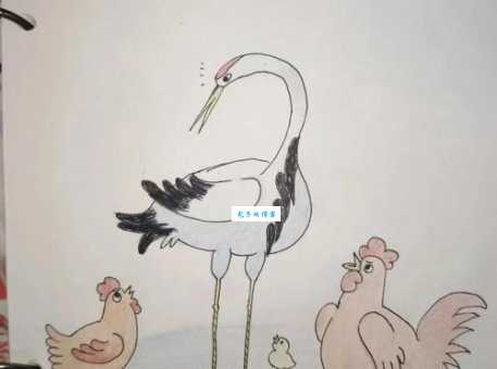 鹤立鸡群主人公的独特魅力究竟在哪里体现