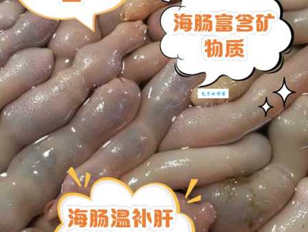 海肠是什么东西 这种海鲜的来历和特点