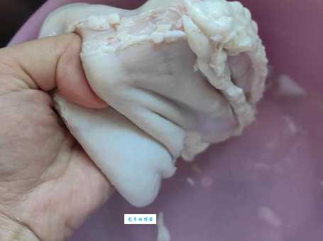 猪肚子怎么洗才干净简单几步去除腥味