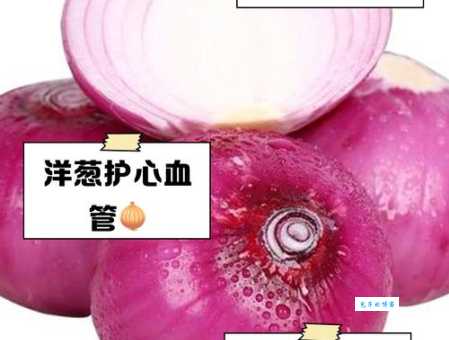 洋葱的功效与作用害处解析 如何正确食用洋葱
