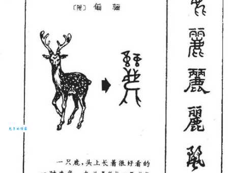 丽的偏旁部首叫什么名字汉字结构解析