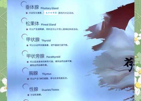 荷尔蒙是什么 为什么它对健康如此关键