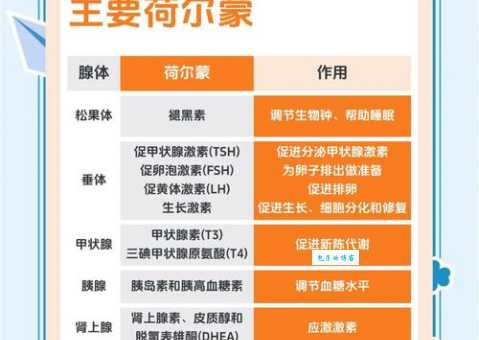 荷尔蒙是什么 为什么它对健康如此关键