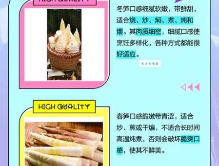 冬笋和春笋的区别教你轻松分辨两种时令笋
